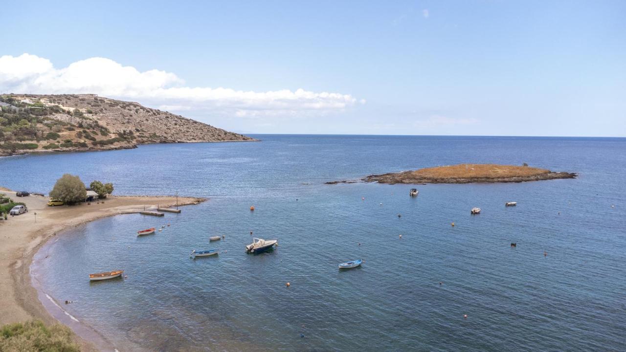 Pallas Keratea المظهر الخارجي الصورة